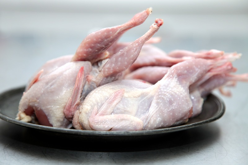 raw quail dressed for cooking