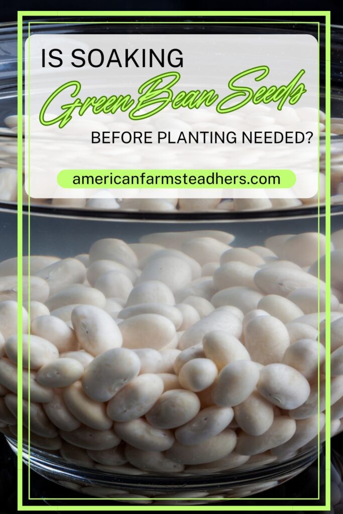 soaking green bean seeds before planting featured image
