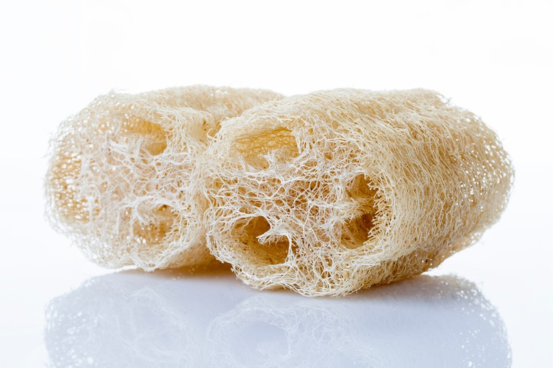 loofa sponges