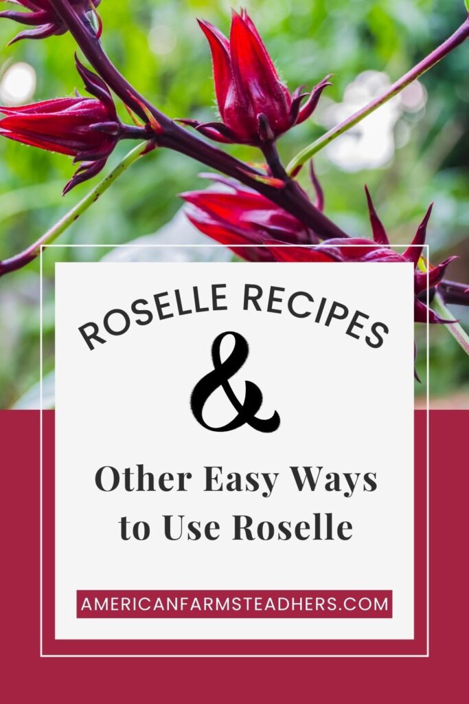 roselle recipes
