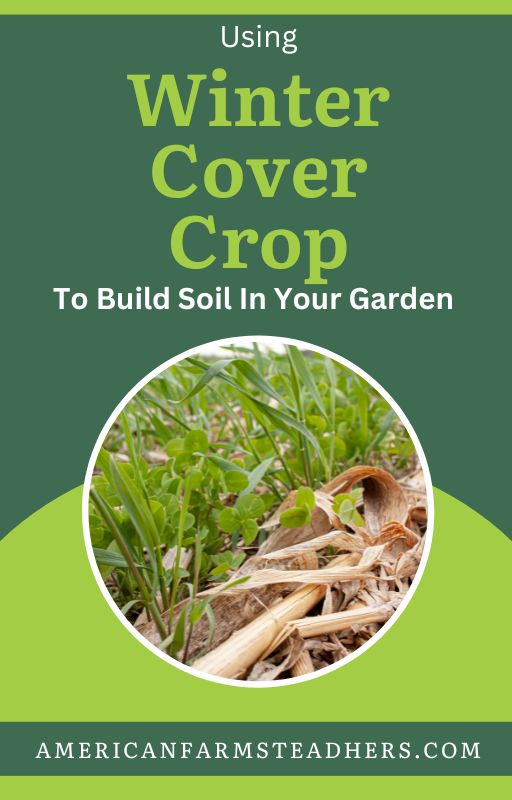 winter cover crop featured image