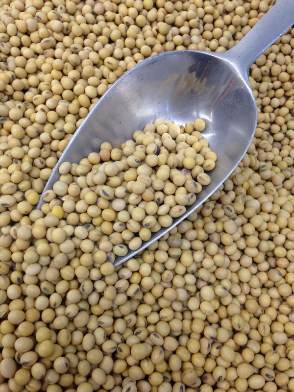 legume seeds with scoop