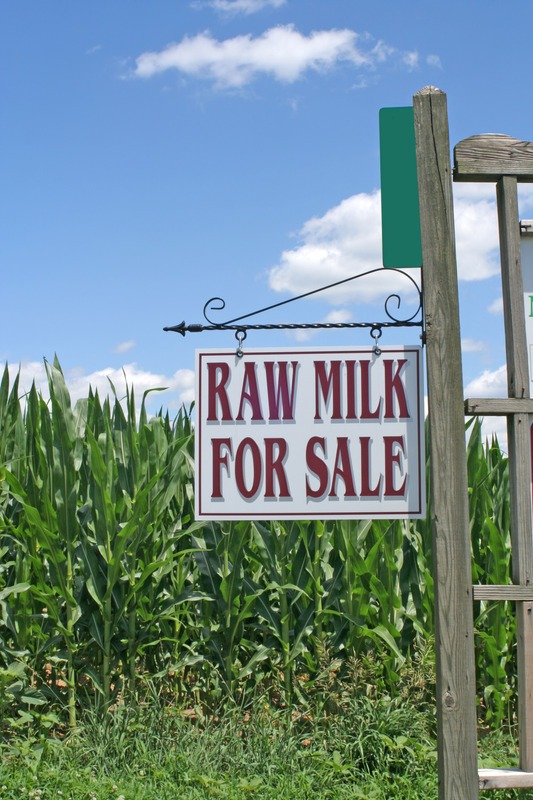 Sign advertising raw milk on farm with corn field in background