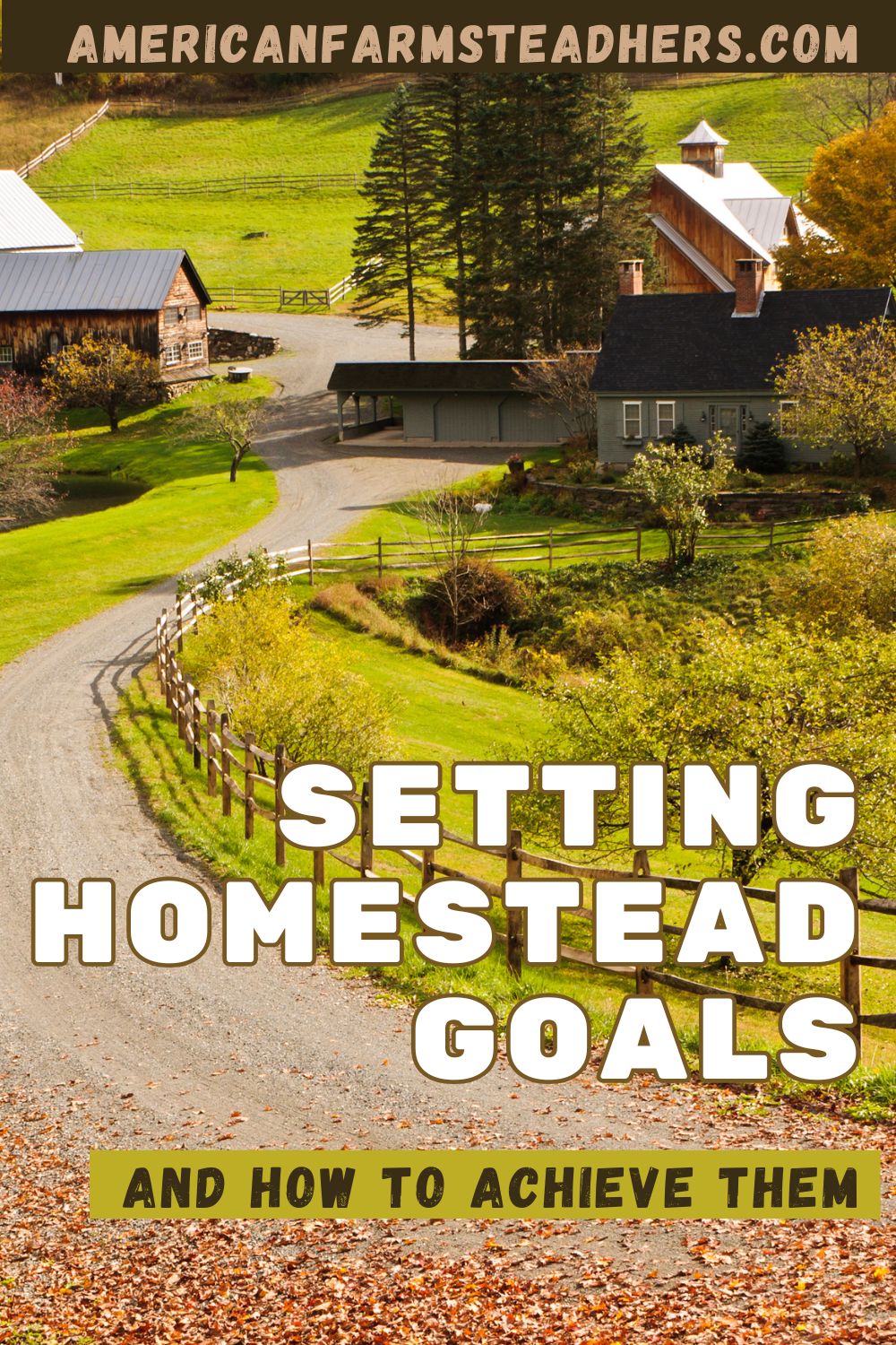 setting homestead goals featured image