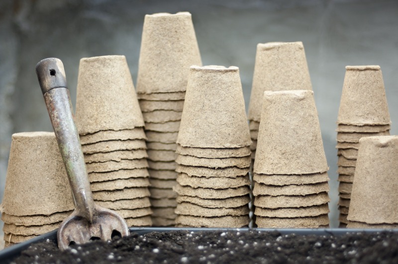 seed starting supplies