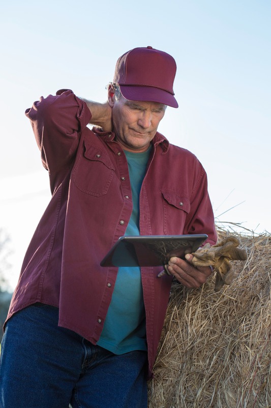 Serious mature adult farmer out in the field using digital tablet concentrating