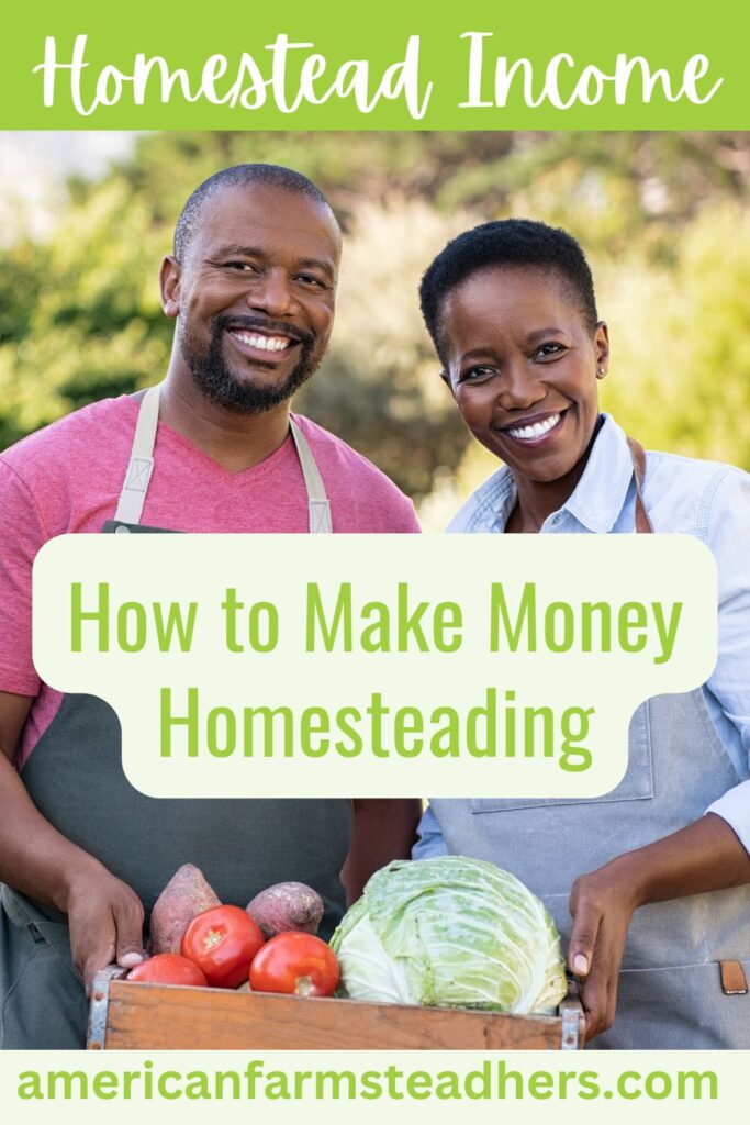 homestead income featured image