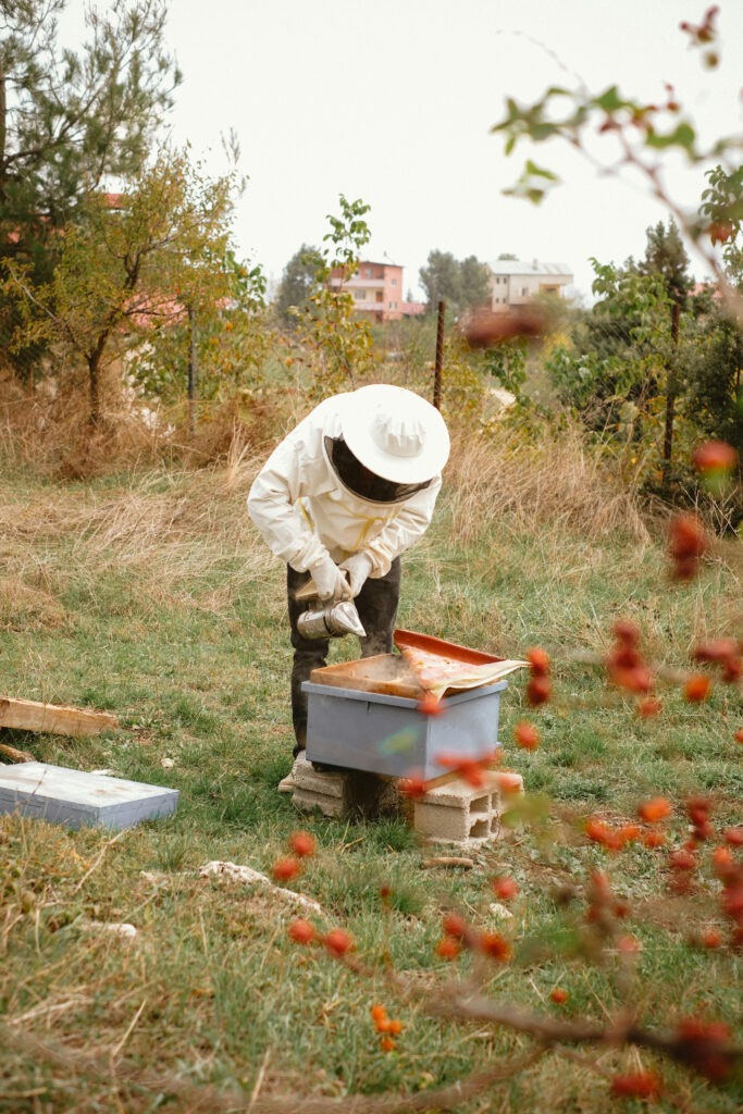 beekeeper working on hive