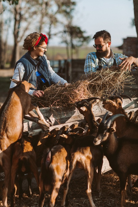 farmers with goats