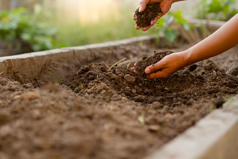 garden ready with soil amendments