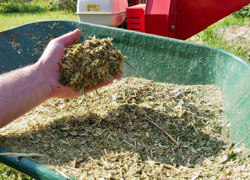 a handful of shredded mulch