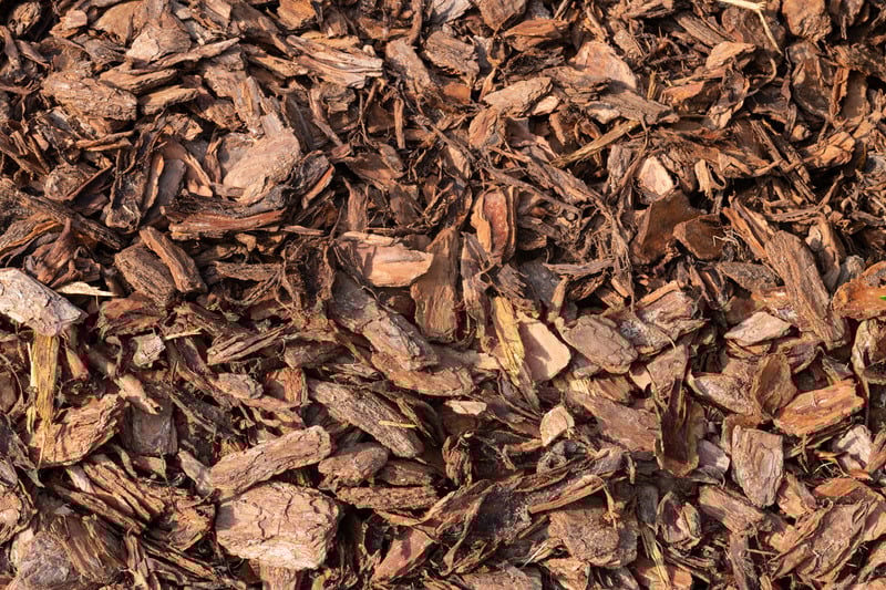 a close up of pine bark mulch