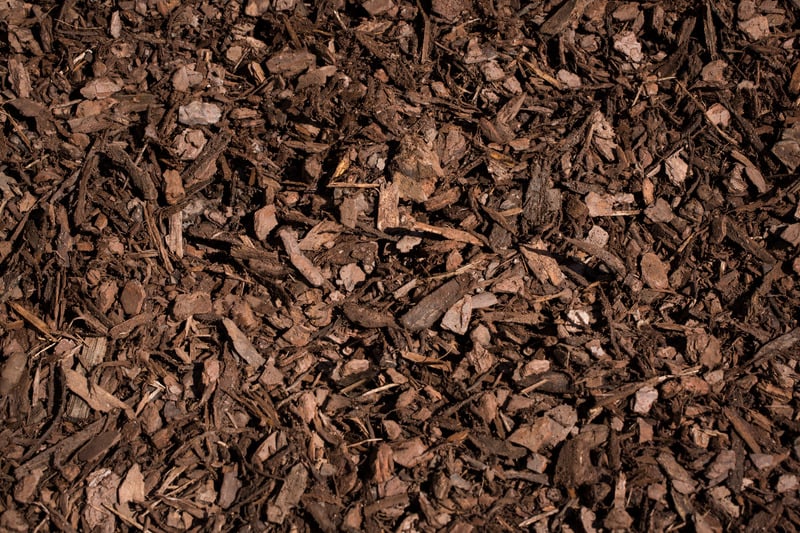pine bark mulch
