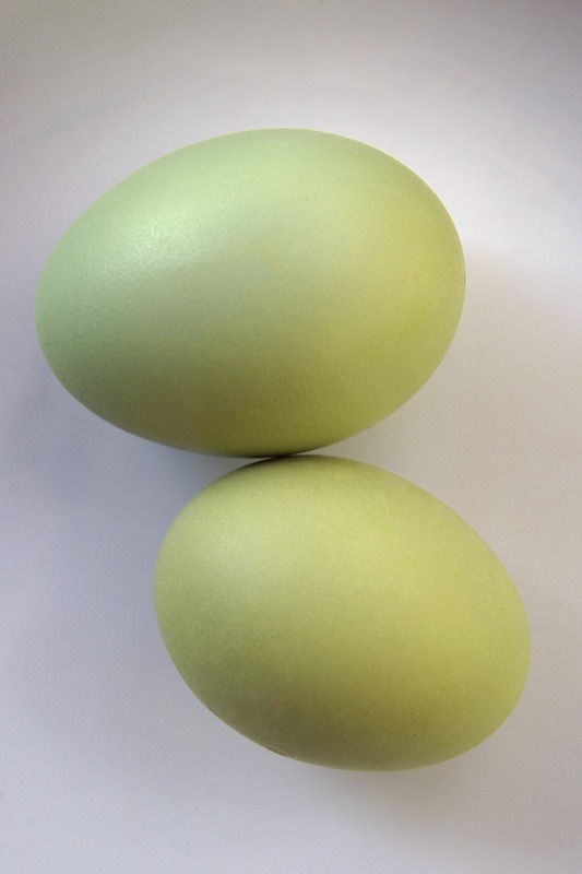 organic green eggs on white plate