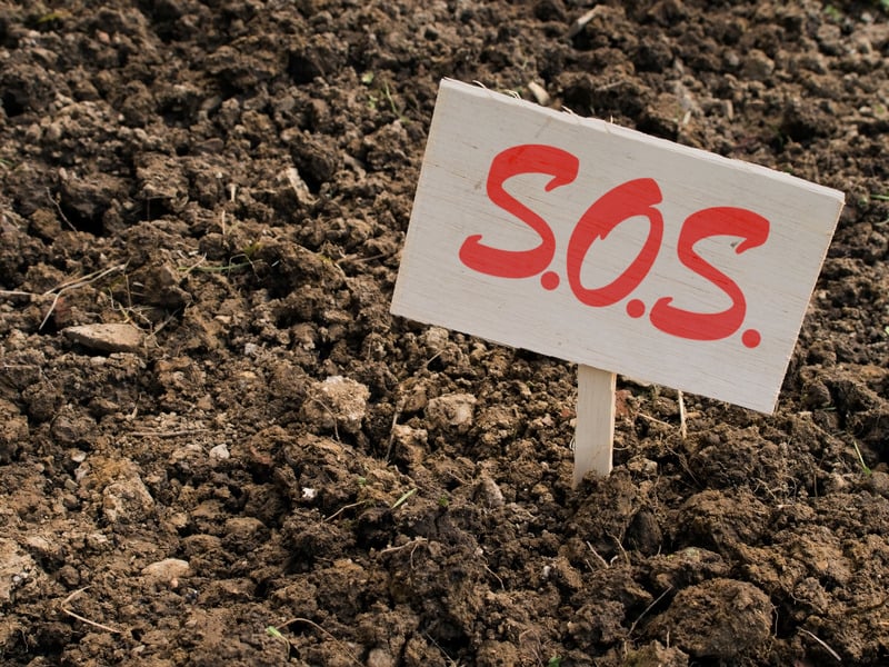 clay soil that needs amending