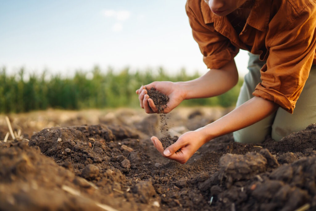 woman collection soil for a soil test