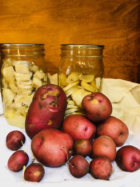 jars of home canned potatoes with fresh potatoes stacked in front