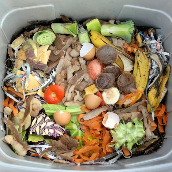 composting veggie scraps