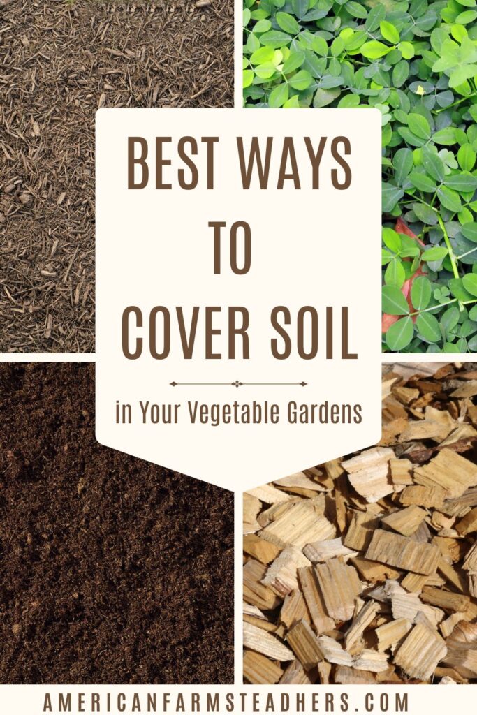 best ways to cover soil featured image