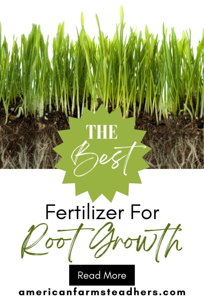best fertilizer for root growth