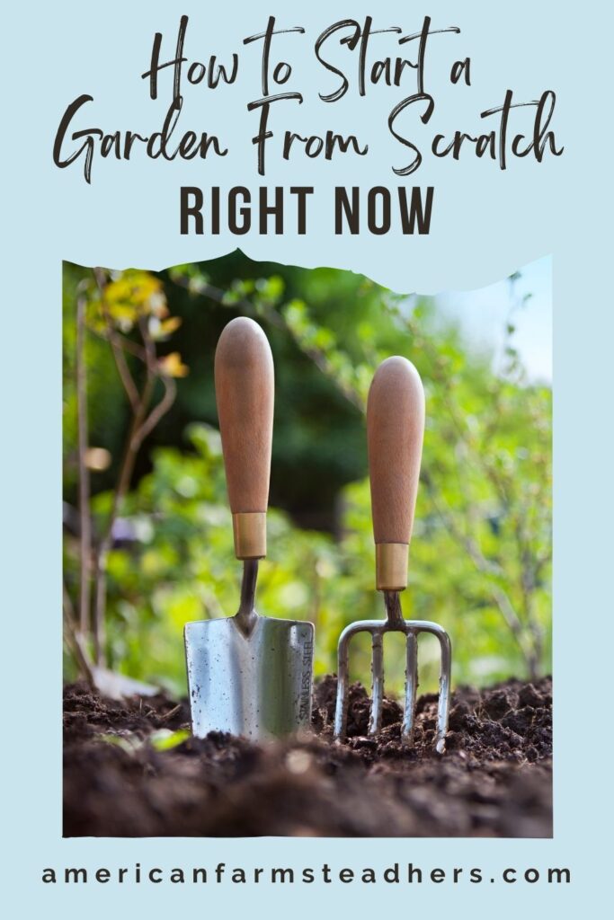 How to Start a Garden From Scratch