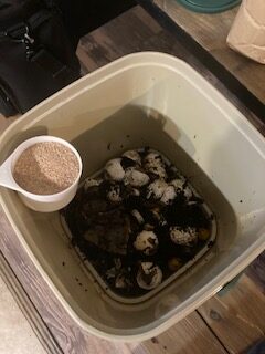 putting bran over the kitchen scraps in the bokashi bin