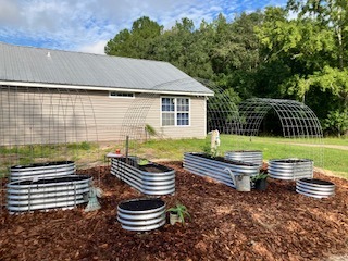 raised bed garden all set up