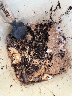 kitchen scraps after sitting for two weeks