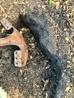 digging a trench in the garden bed