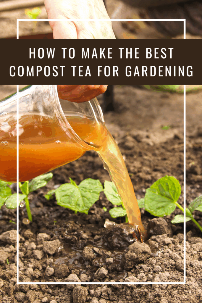 how to make the best compost tea for gardening