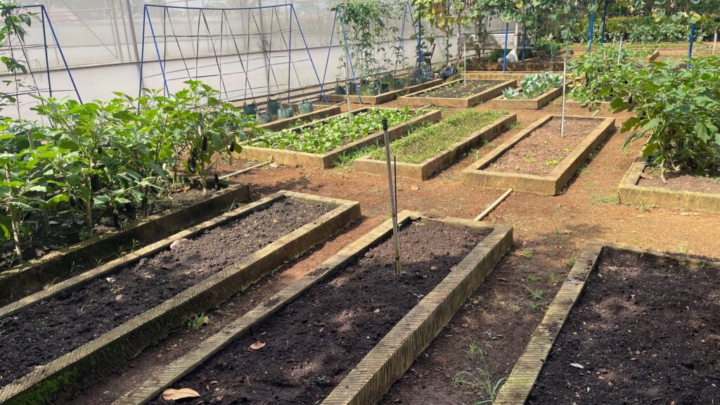 raised bed garden system